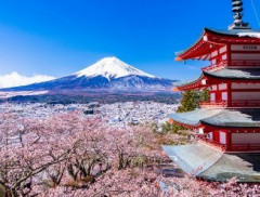 【画像】世界の言語系統、日本だけ何かがおかしいｗｗｗｗｗ