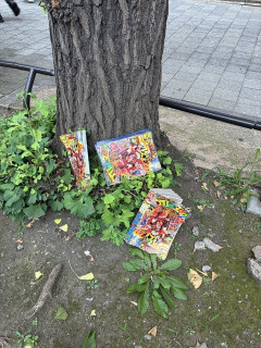 松本伊代「読み捨てられる雑誌のように」←少年ジャンプが読まれもせずに捨てられてる本当に資源の無駄  [7/15]