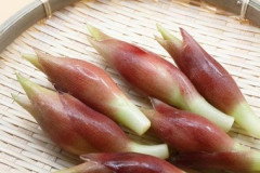 ぼく農家「(みょうがって誰が買うんだろう…)」