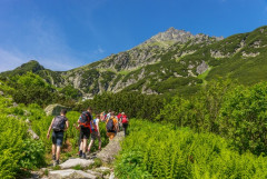 【登山】行こう行こうと思ってたが直近の記錄見てなんか満足してしまった