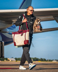 【画像】ハーランドさん、タヌキと共に失意の帰国へwww