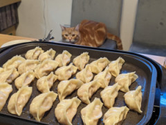 うつ病我が家の餃子パーティー