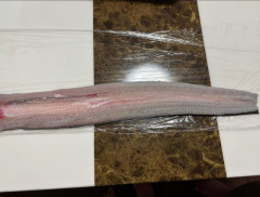 うなぎ釣ってきた！