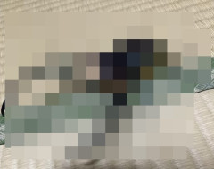 【画像】全ワイが興奮したフィギュア