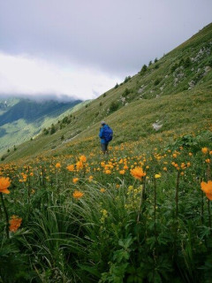 登山「お金かかりません。痩せます。達成感あります」