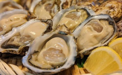 【画像】東京湾で獲れた牡蠣、明らかに色がう■ちの色で草(画像あり)