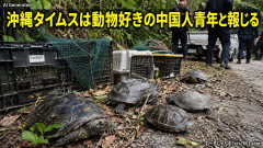 中国人(20)が沖縄でカメ乱獲「縁起物で１匹当たり５７万円程度で売れる」 沖縄タイムスは動物好きの中国人青年と報じる