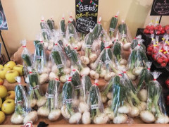 【困惑】「一番よく買う野菜」は?🥒wwwwwwwwww