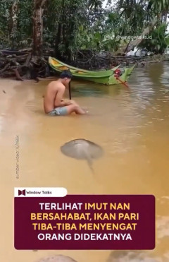 【動画】川で水浴びしてた男性、刺される……！！