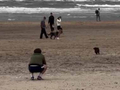 【ちょっ】 パパの元へ犬が駆け寄って行く。遠くからママがその様子を撮っていた → こうなった…