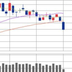 【悲報】日経平均、歴史的大暴落。終わりだよこの国