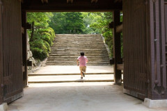 城巡りって歴史とか分からないとマジ楽しくないよな