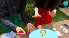 櫻坂46×日向坂46のコラボ、このメンバーは確定か！？