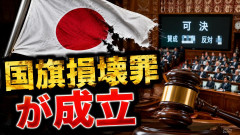 【速報】国旗損壊罪が成立 岩屋無念、出国は？