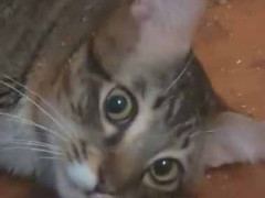 【閲覧注意】 これはハマりすぎだ。床に散らばる謎の粉 → そこに横たわる彼女の様子はこちらです…