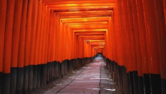 韓国人「日本最大級の神社『稲荷神社』の起源を調べた結果‥稲荷神社を創った『秦氏』の正体とは？」