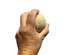 【変化球】なぜシュートは廃れたのか？