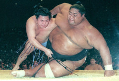 舞の海秀平 385勝418敗27休 勝率.479←言うほどすごいか？