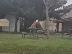 公園のベンチにカップルがいた。友達以上、恋人未満かな？ → 珍しいふたり組はこちらです…