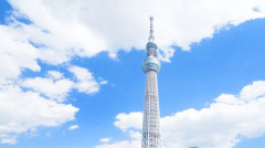 【悲報】東京が衰退している理由ｗｗｗｗｗｗｗｗｗｗ