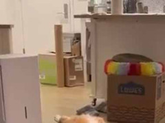 彼女はすっかりハマってしまったようだ。最近はヨガより断然ピラティス！ → 今もこんな様子です…