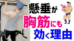 懸垂って大胸筋にも効くよな？ｗｗｗ