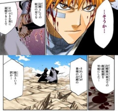 【BLEACH】白哉「それこそが貴様の卍解」