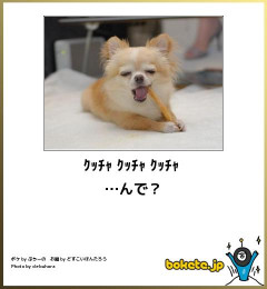 【画像】腹筋崩壊するほど笑った画像を貼っていけｗｗｗｗｗｗｗｗ