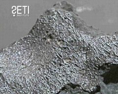 民家に落下の隕石から地球外生命の化学反応「硫黄のような臭い」…米ニュージャージー州！