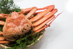 【画像】蟹食べるときのあの道具、正式名称がこれってマジ？