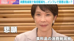 食料品消費税1％の効果は？負担軽減でもインフレで恩恵薄い？「8％が1％に下がった割に価格は高く感じる」エコノミストが背景を解説
