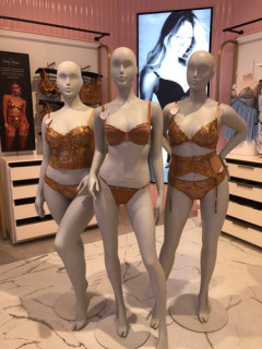 【激怒】「全裸が一番エッッッいってのはニワカ、本当にエッッッなのは下着姿」👈😡こいつwwwwwwwwww