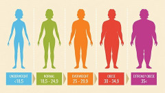 女で72kgをデブ扱いする人がいるけど、182cmで72kg＝152cmで50kgらしいぞ