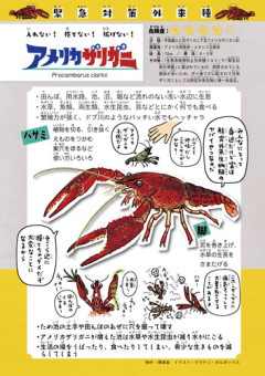 【悲報】昔の日本人さん「バスとザリガニを食用として輸入しよう」←こいつwwwwwwwwww