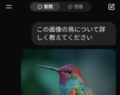 【悲報】AI否定派ワイ、AIとお喋りするのが楽し過ぎて咽び泣く