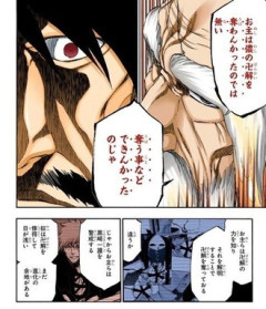 【BLEACH】違いますか？
