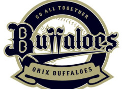 オリックスバファローズさん、Aクラスに勝ち越してるのに4位wwwwww