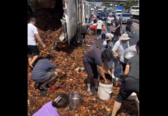 中国で食品を輸送していた冷蔵トラックが高速道路で転倒する → 人が群がり、中に入っていた食品を強奪していってしまう…