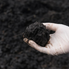 日本、南鳥島沖の泥から重レアアースを確認 近く分析結果を公表へ 動画あり   #速報 |  でもお高いんでしょう？