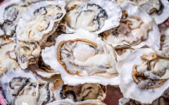 私は牡蠣が苦手で、友人と遊んだ時に「美味しいお店があるからそこでランチしよう」って誘われたんだけど断った。そしたら…