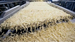 【朗報】中国のフライドポテト工場、ガチで美味そうすぎるｗｗｗｗｗｗｗｗ