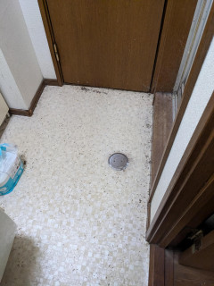 【閲覧注意】久しぶりに帰ってきた家、ヤバい
