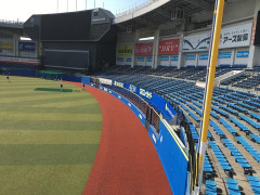 フェンスの素材変えるとかできないのか？