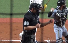 NPBが準育成審判員を募集　月額25万円に様々な声