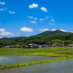 山買っちゃえば？　安いよ
