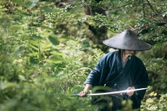 江戸時代「水道ありません。エアコンありません。病院も少ないです。」←こいつらが日本の夏を生き抜いた理由ｗｗｗｗｗ