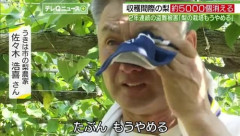 【福岡】梨５０００個以上を二年連続で窃盗された梨農家さん心が折れる「梨はもう辞めます。もう親父も気力をなくして、農園上がって来るだけでも大変だから。」