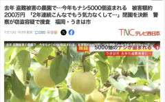 【福岡】去年6500個盗まれた梨農園さん、今年も5000個盗まれて閉園を決意