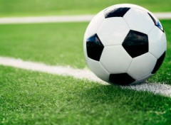青森山田高校サッカー部さん、飲酒喫煙で十数人もの停学者が出るもなぜかインターハイは出る予定