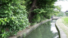 【画像】暑いから川歩いてきた